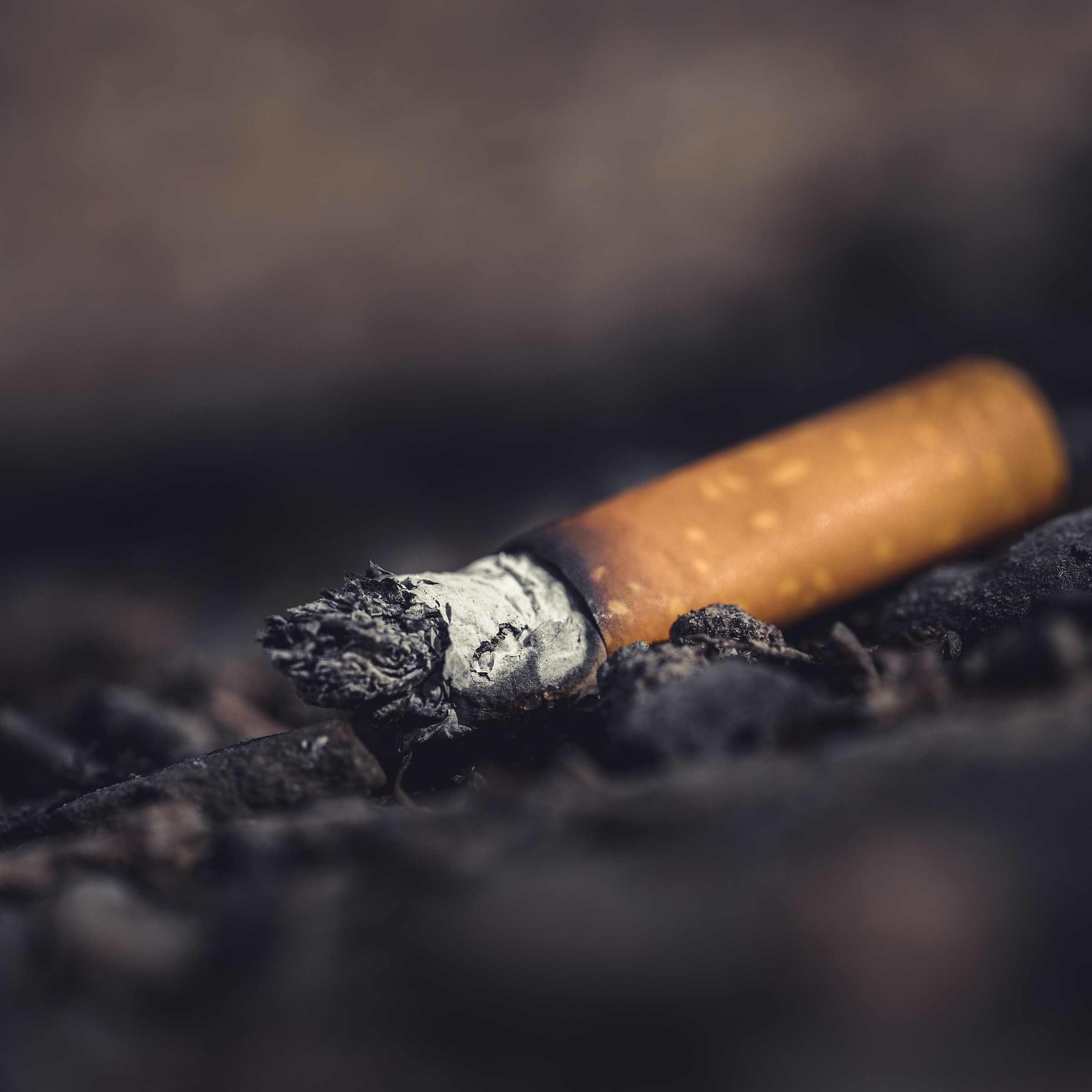 Hvad taber vi i kunsten, når cigaretten går op i røg?